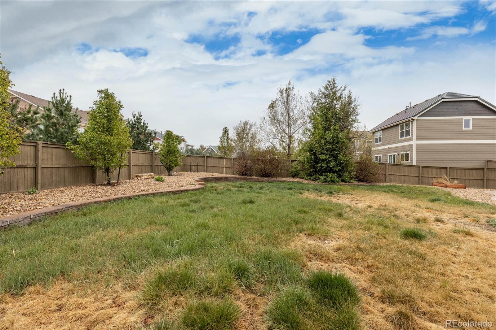 218 Ardmore Street Castle Rock CO 80104