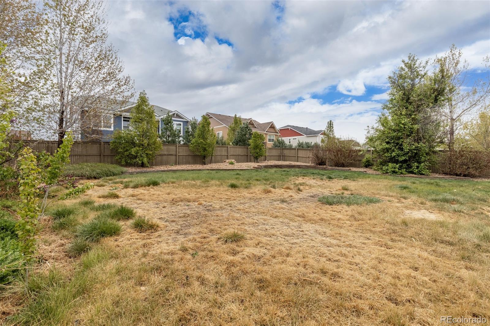 218 Ardmore Street Castle Rock CO 80104