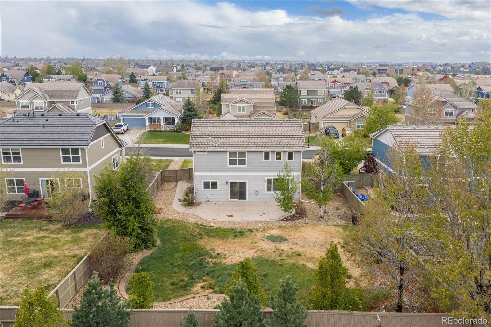 218 Ardmore Street Castle Rock CO 80104