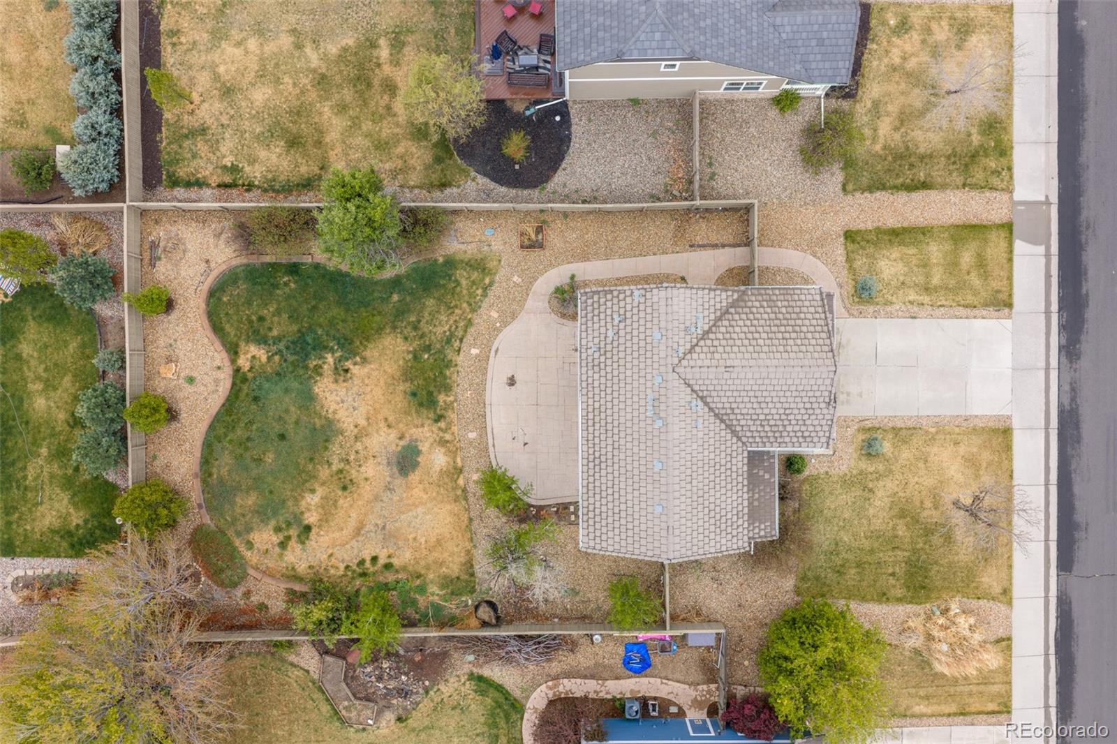 218 Ardmore Street Castle Rock CO 80104