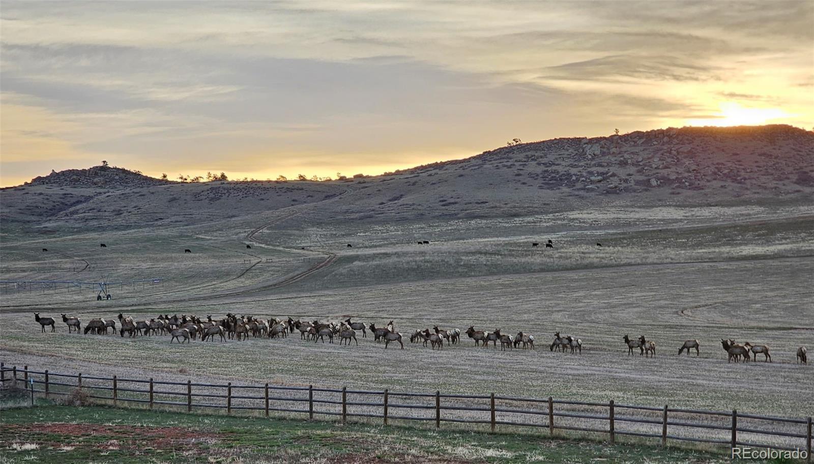 7864 Heart J Trail Loveland CO 80537