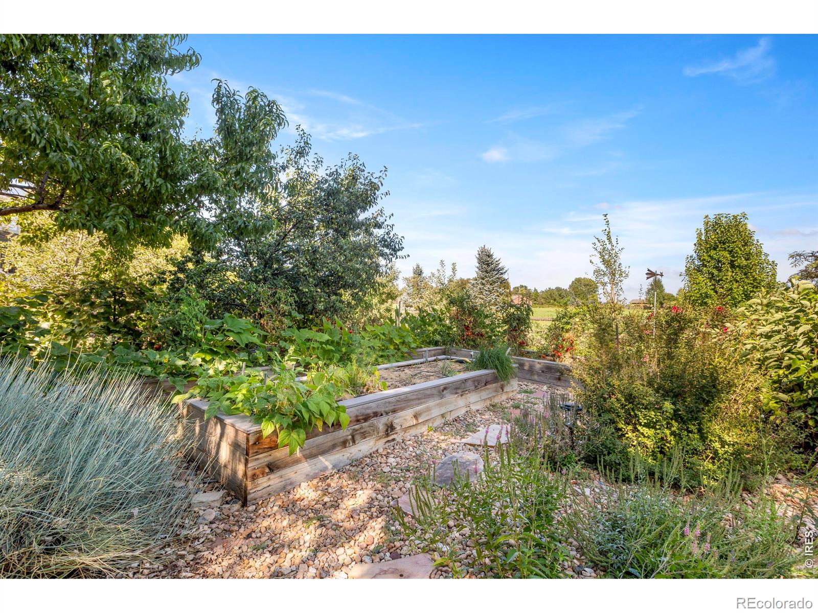 4918 Hinsdale Drive Fort Collins CO 80526