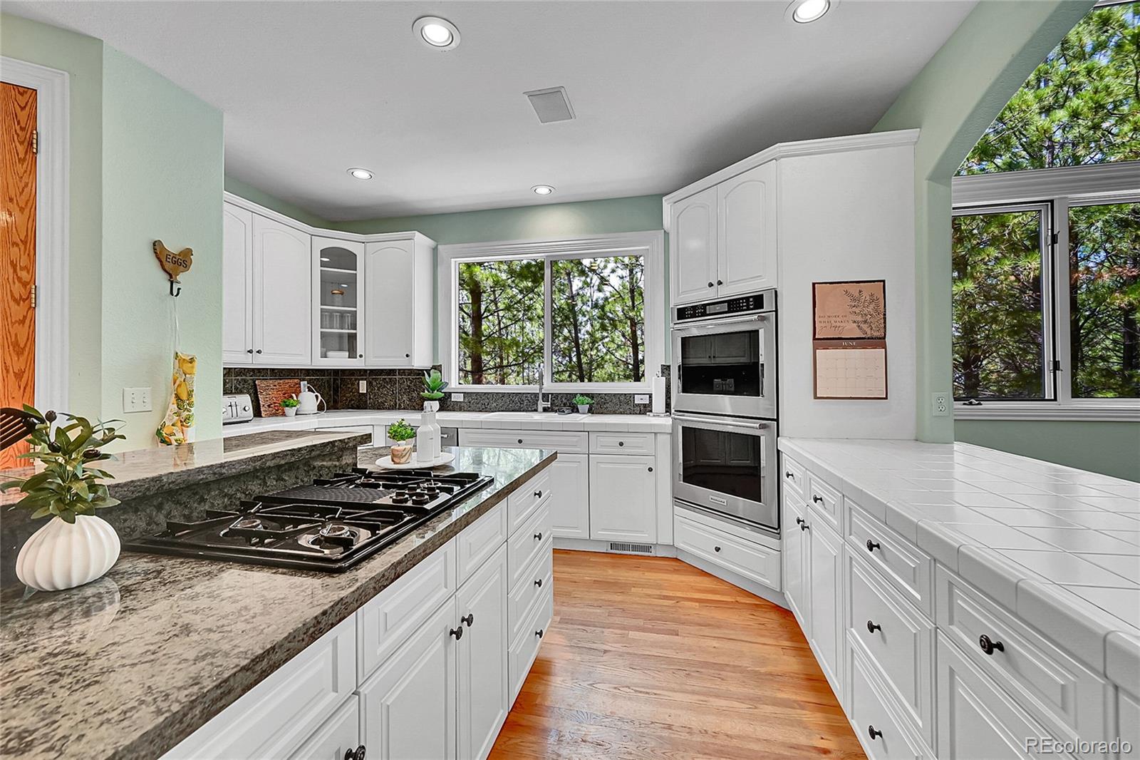 6681 Flintwood Road Parker CO 80138