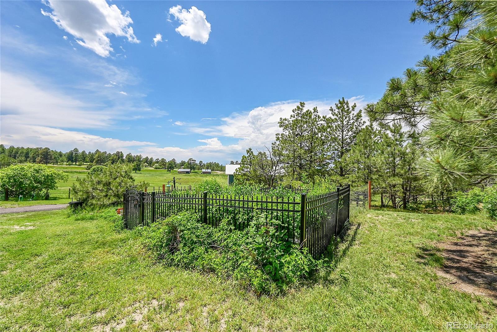 6681 Flintwood Road Parker CO 80138