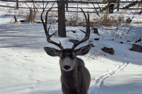 25956 E Jamison Circle S Aurora CO 80016