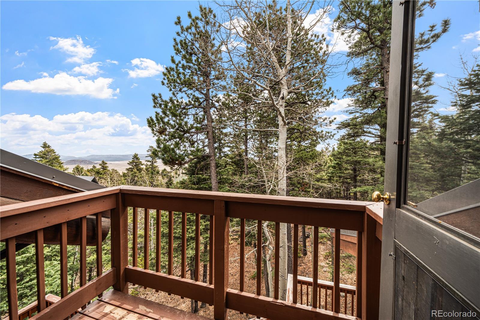 1614 Chalice Drive Westcliffe CO 81252