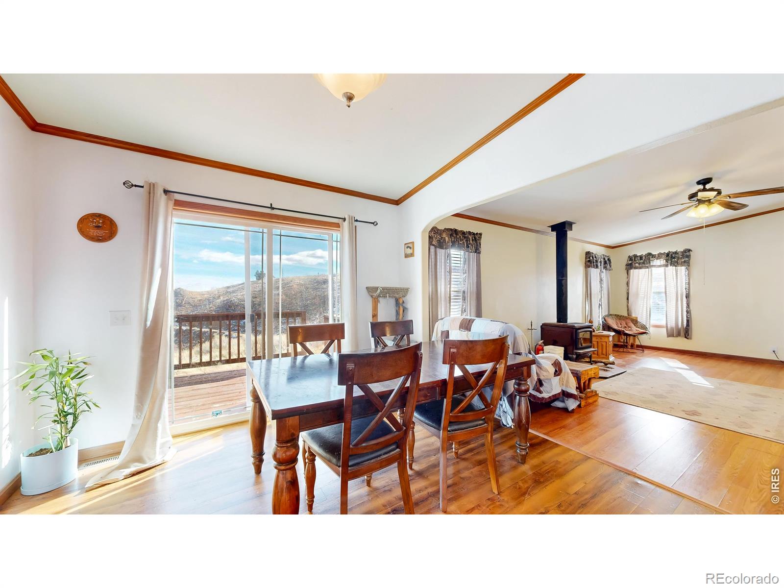 38 Carson Peak Court Livermore CO 80536
