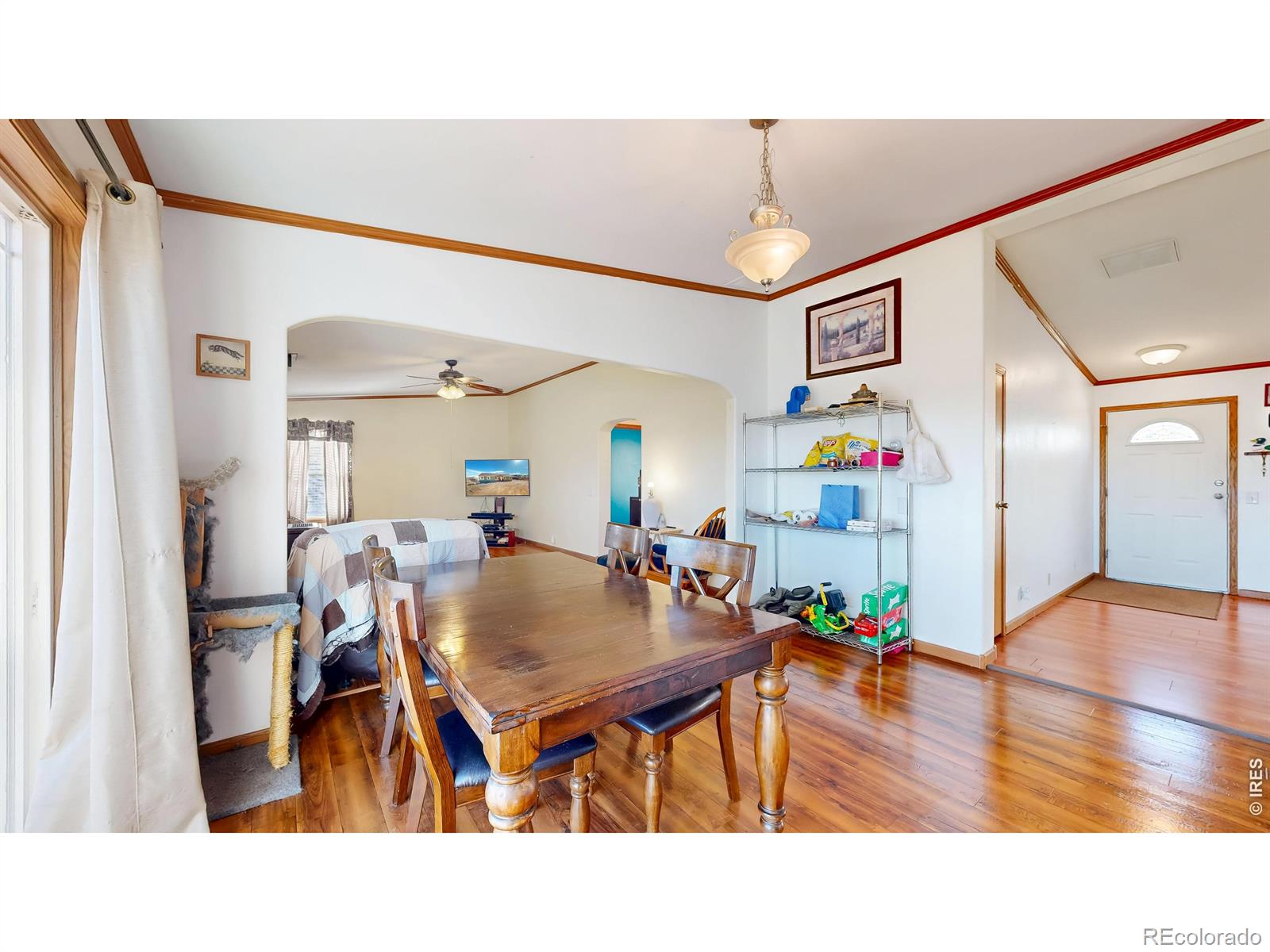 38 Carson Peak Court Livermore CO 80536