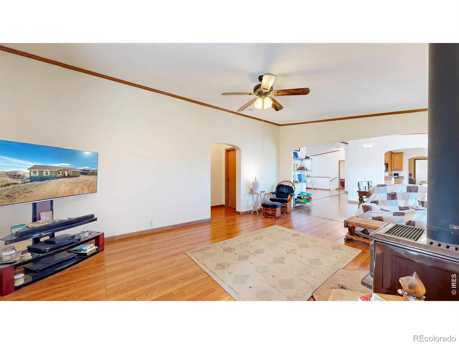 38 Carson Peak Court Livermore CO 80536
