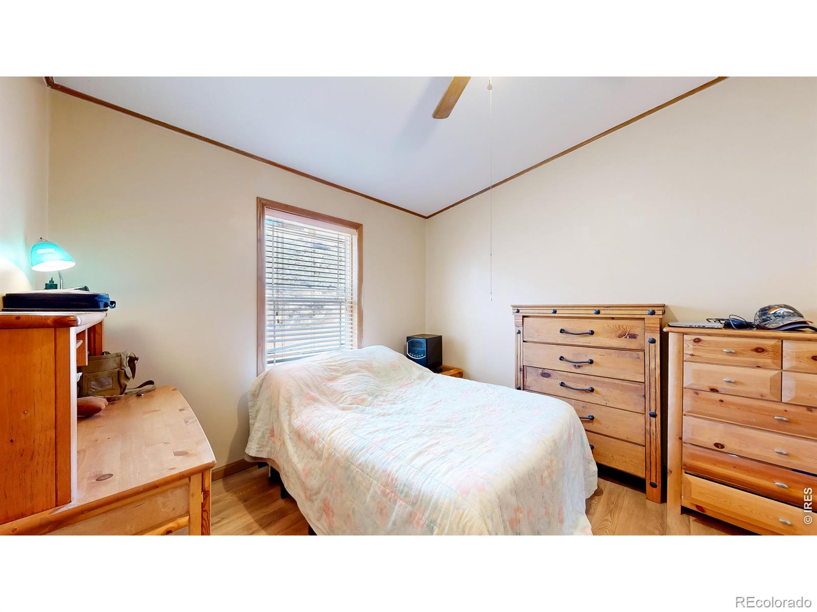 38 Carson Peak Court Livermore CO 80536