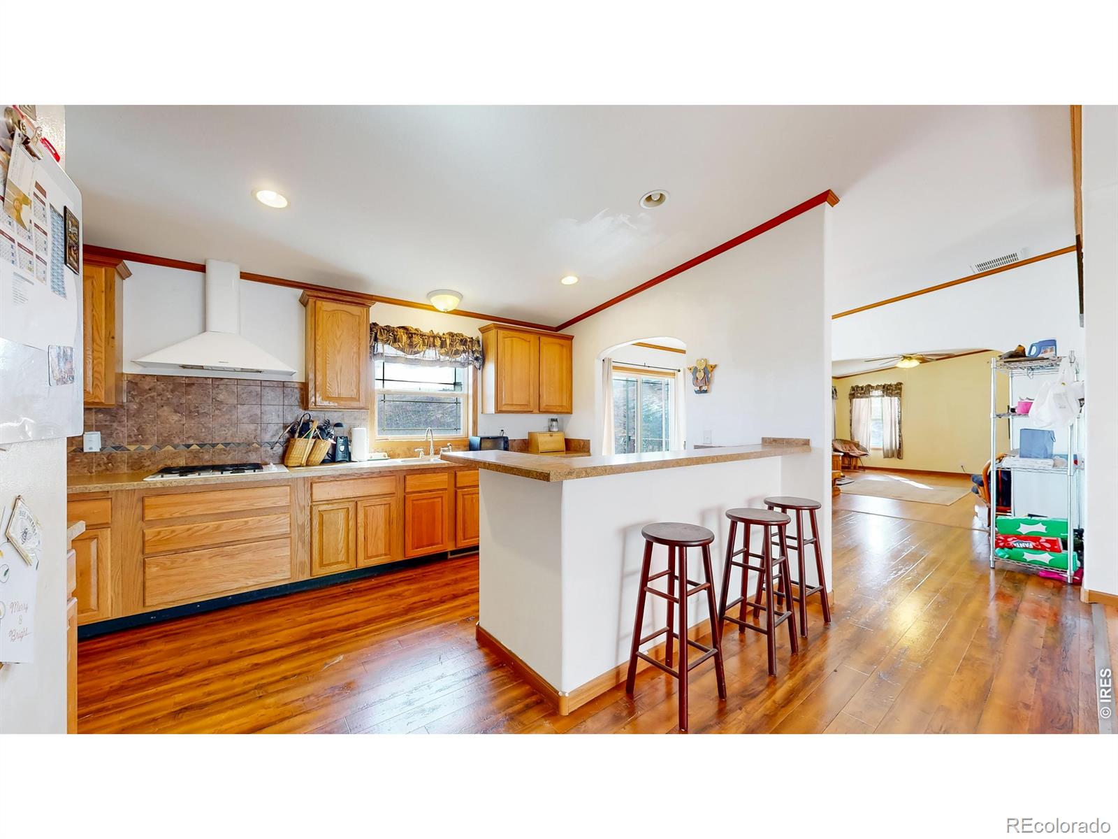 38 Carson Peak Court Livermore CO 80536