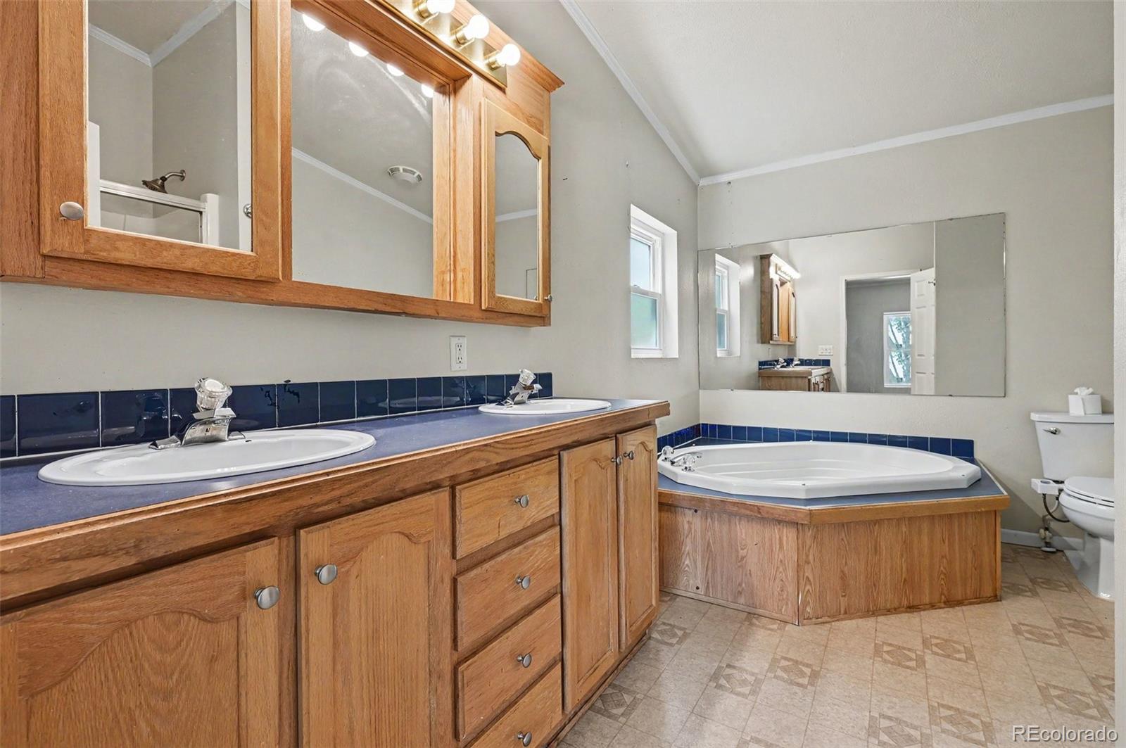 691 Meadowlark Lane Brighton CO 80603