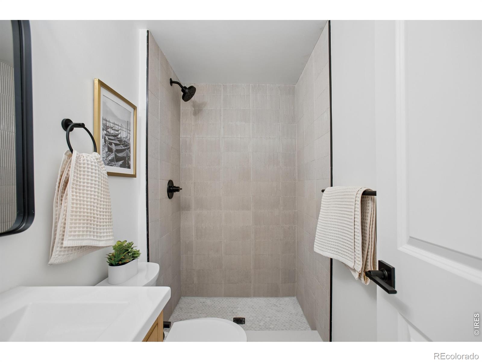 12 Baylor Drive Longmont CO 80503