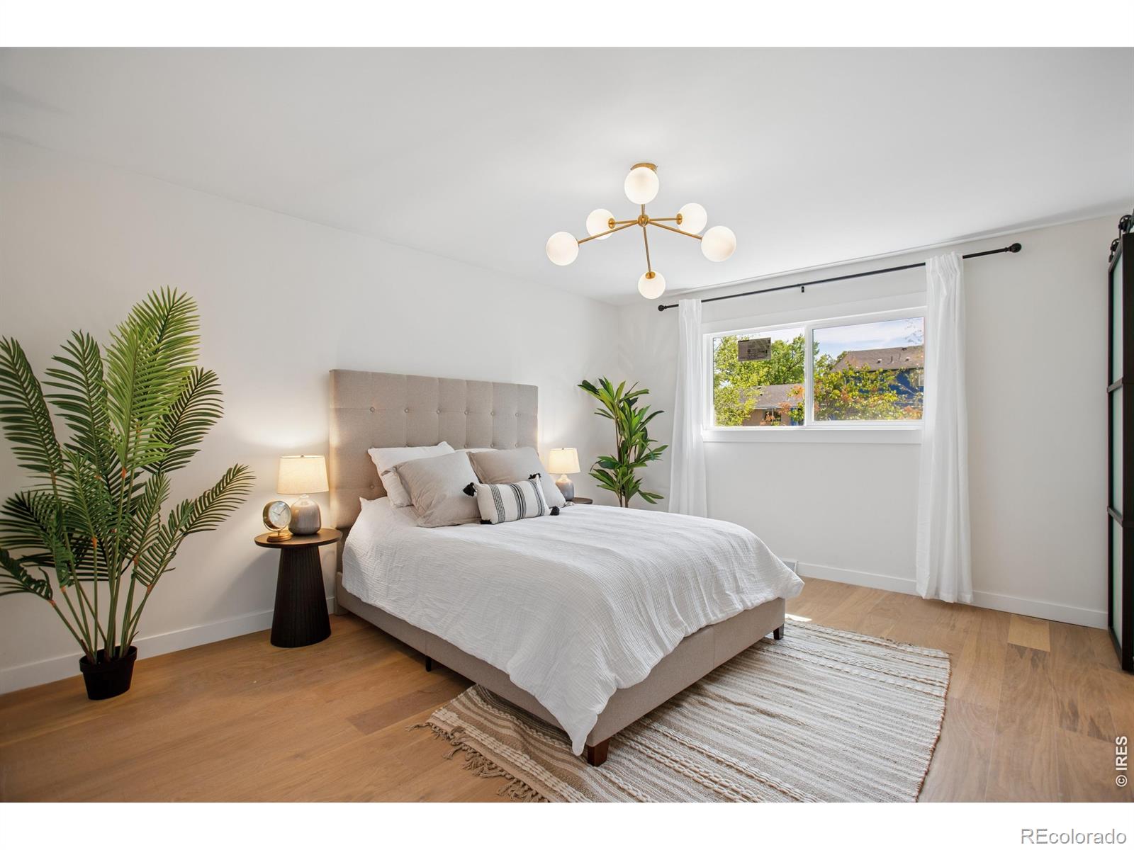 12 Baylor Drive Longmont CO 80503