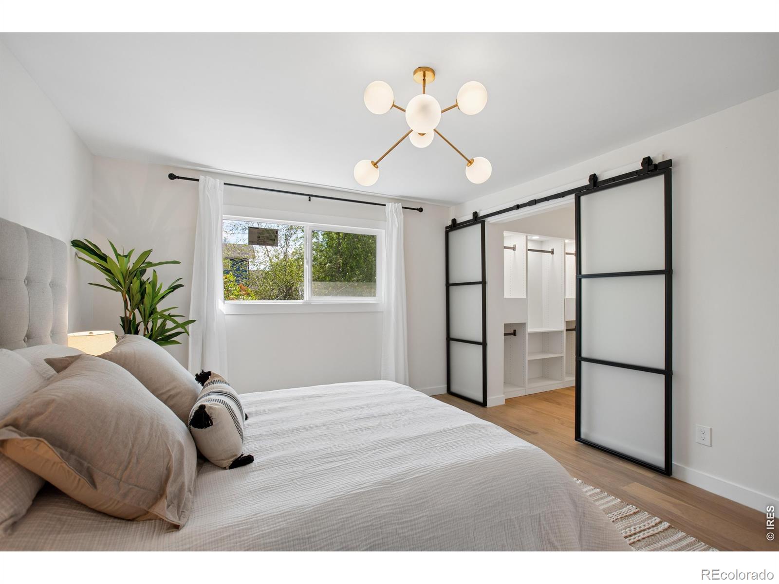 12 Baylor Drive Longmont CO 80503