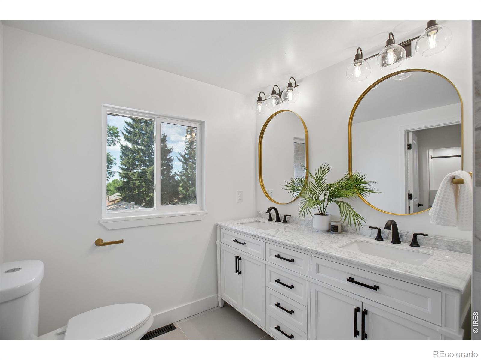 12 Baylor Drive Longmont CO 80503