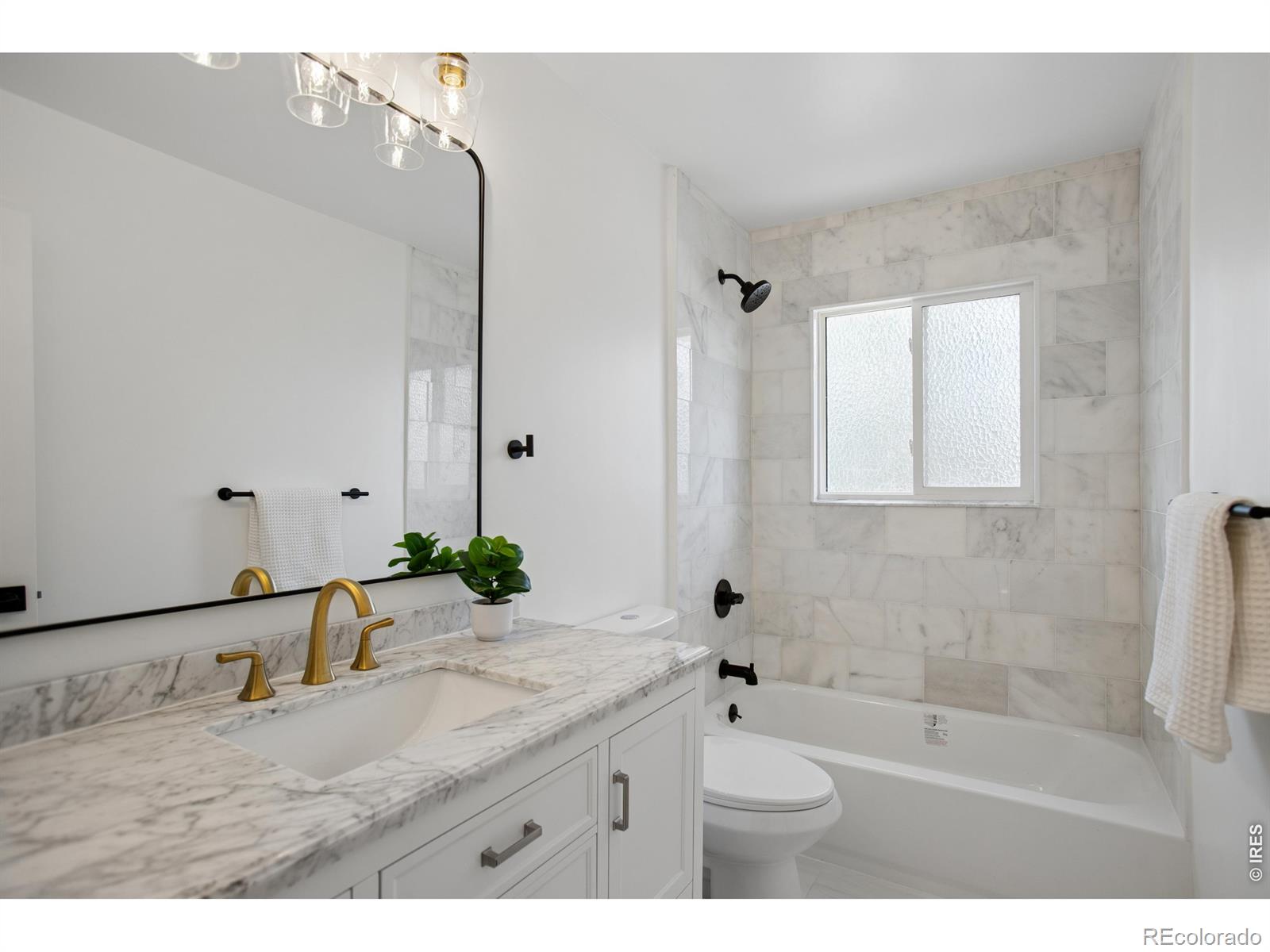 12 Baylor Drive Longmont CO 80503