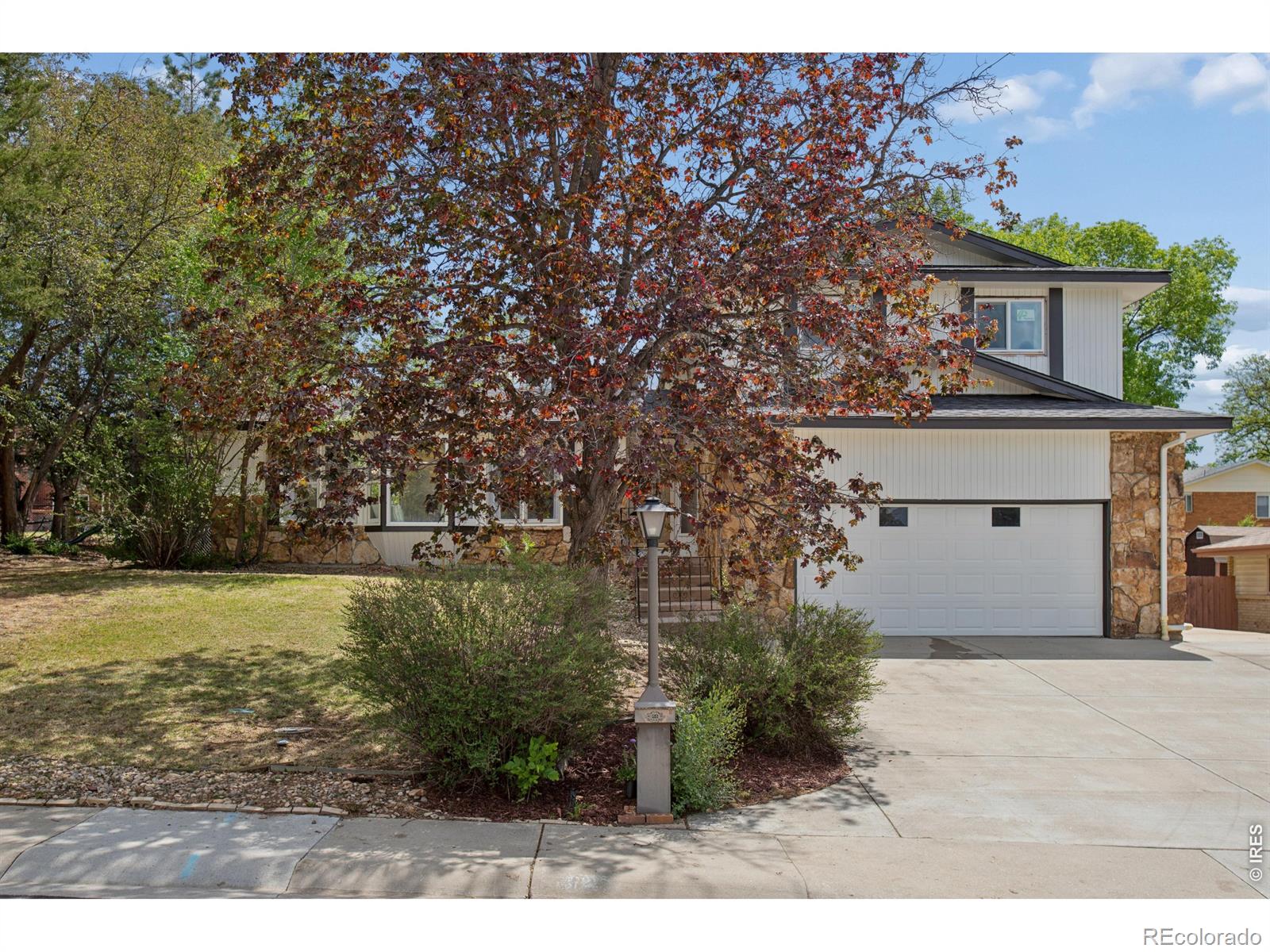 12 Baylor Drive Longmont CO 80503