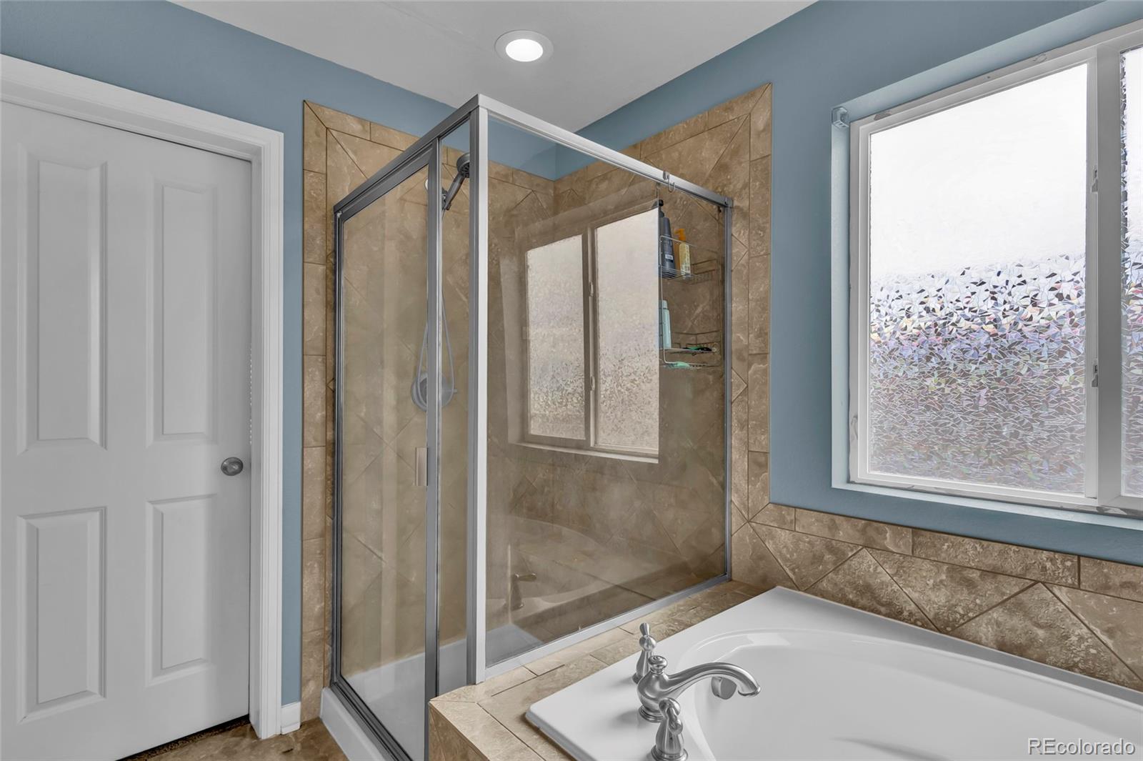 7679 Blue Water Drive Castle Rock CO 80108