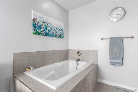 5271 N Mesa Drive Castle Rock CO 80108