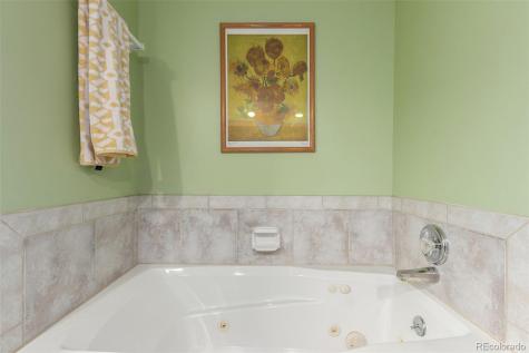 5271 N Mesa Drive Castle Rock CO 80108