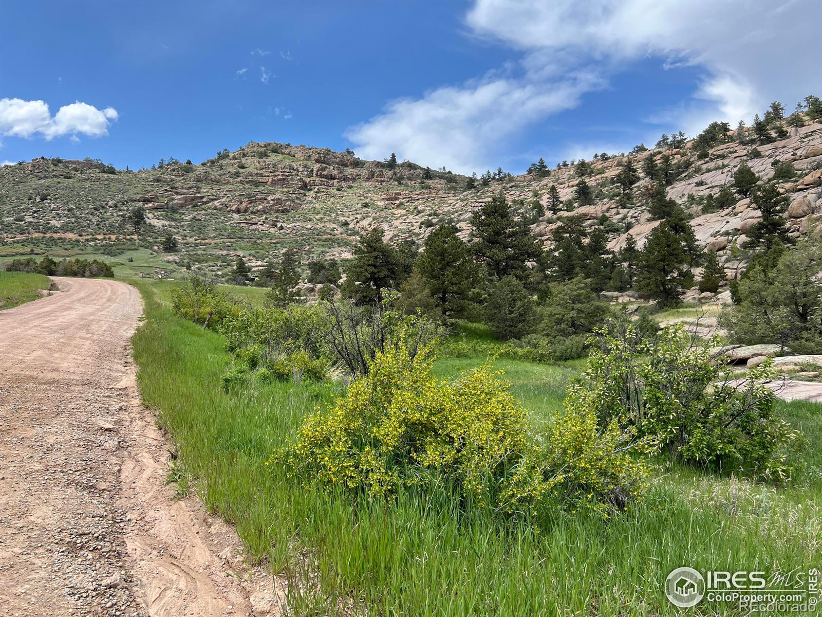 2302 W County Road 82e Livermore CO 80536