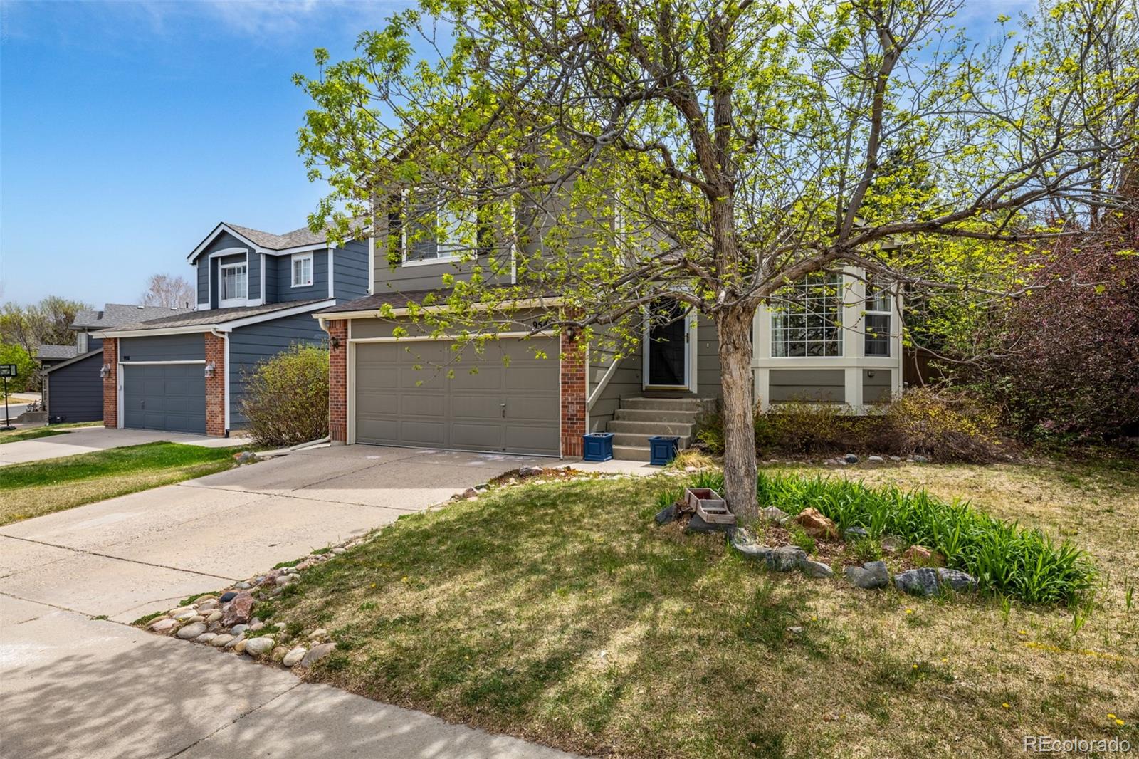 9545 Cove Creek Drive Highlands Ranch CO 80129