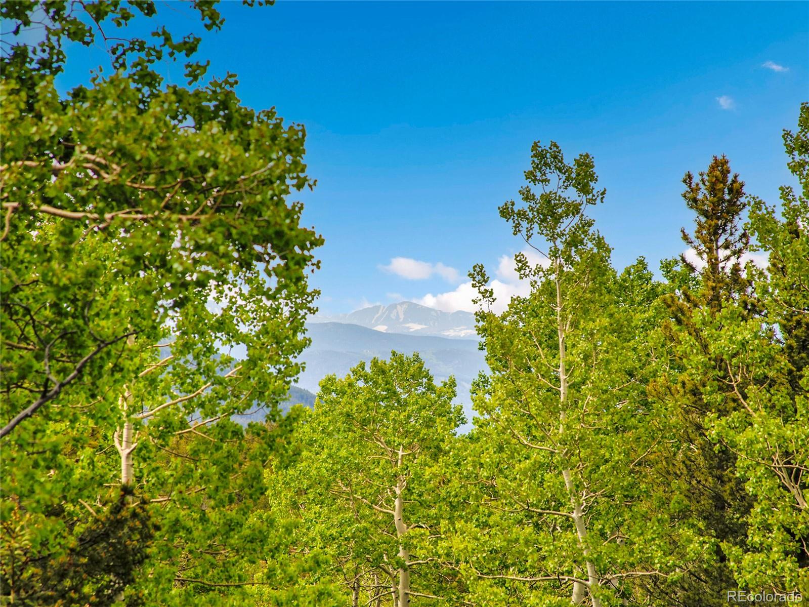 2654 Sinton Road Evergreen CO 80439