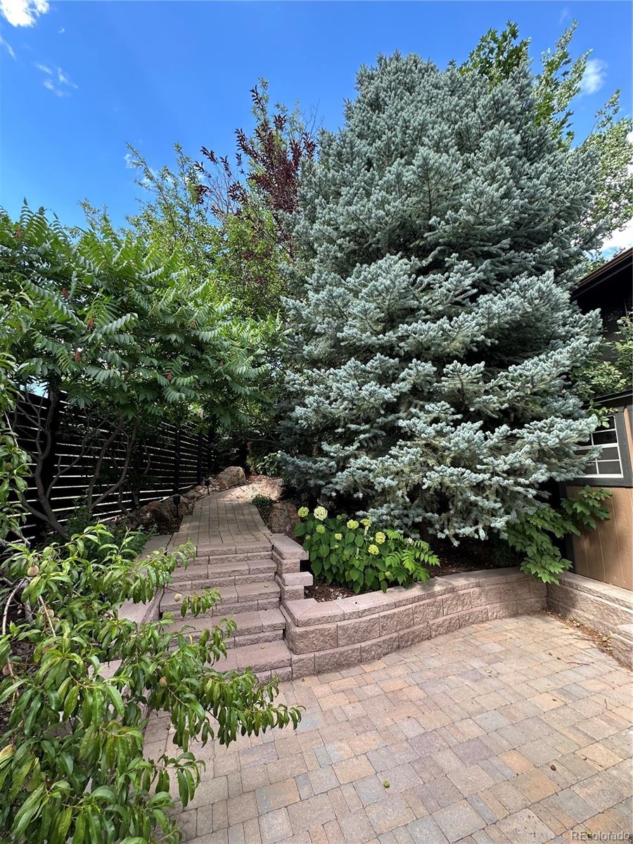 7454 Queen Circle Arvada CO 80005