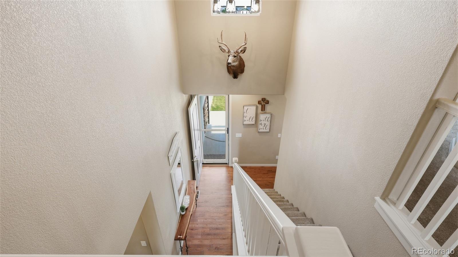 40690 Leif Lane Ault CO 80610