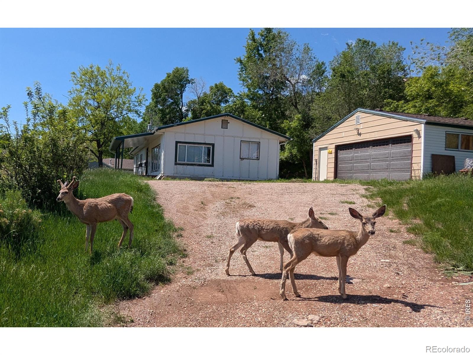 4809 Foothills Drive Fort Collins CO 80526