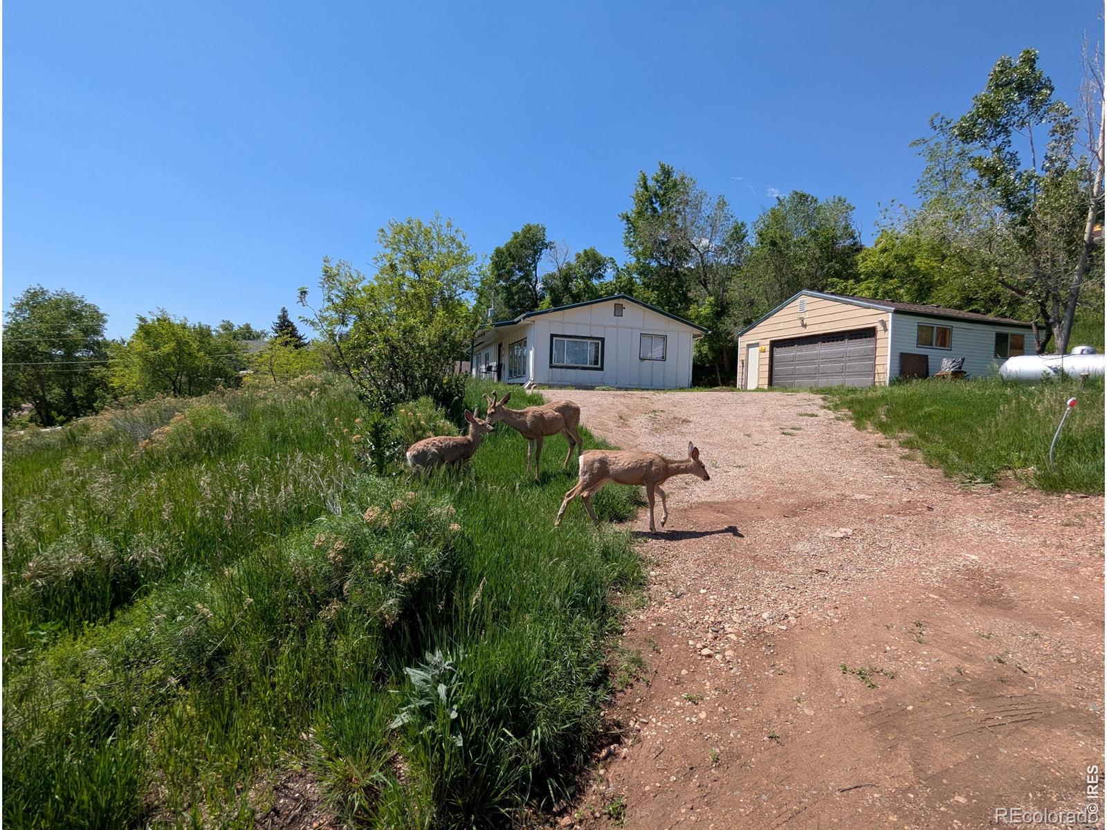 4809 Foothills Drive Fort Collins CO 80526