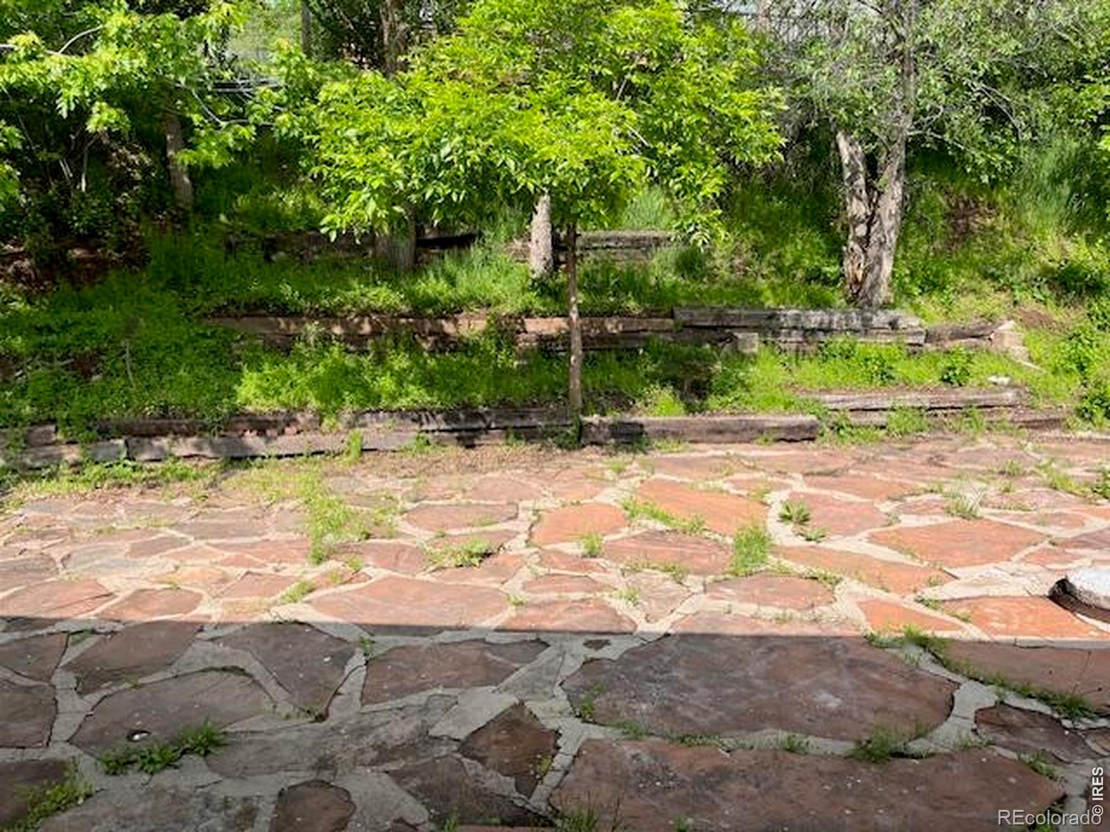 4809 Foothills Drive Fort Collins CO 80526