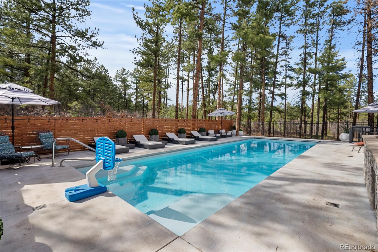 1188 Sky View Lane Larkspur CO 80118
