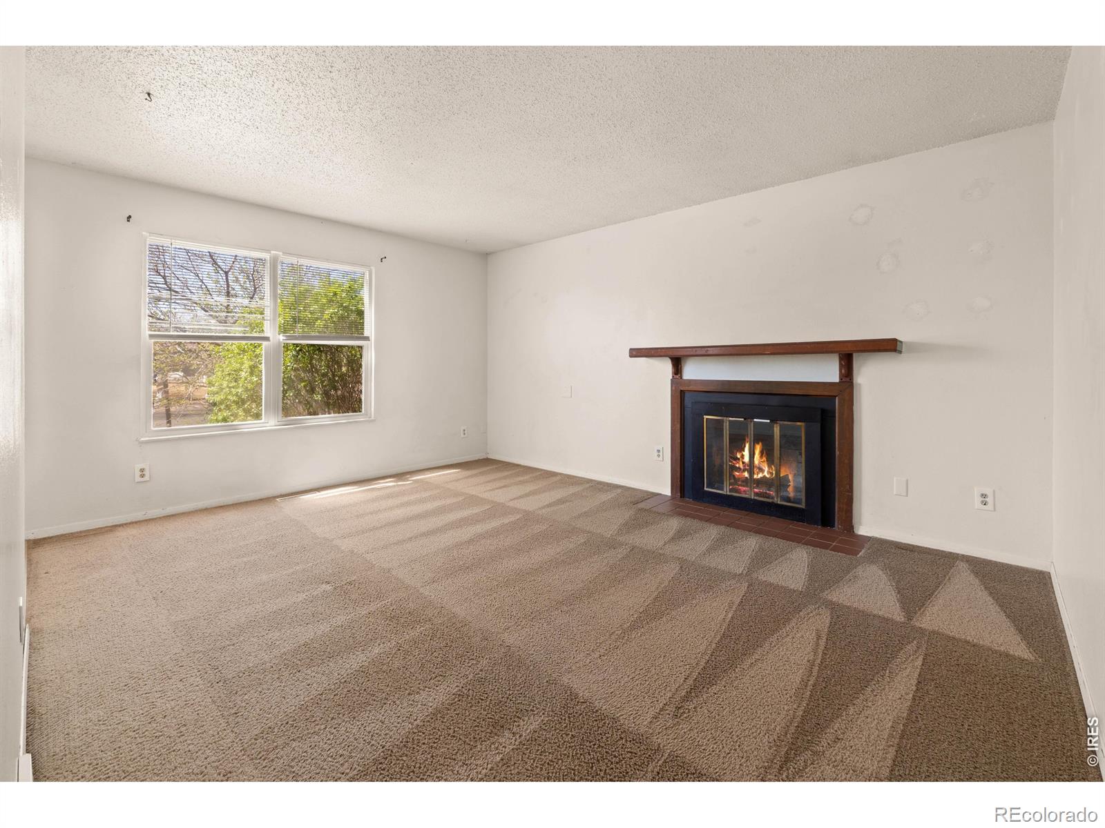 3500 Lilac Lane Evans CO 80620