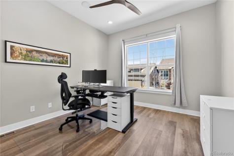 289 Leafy Aster Lane Castle Rock CO 80104