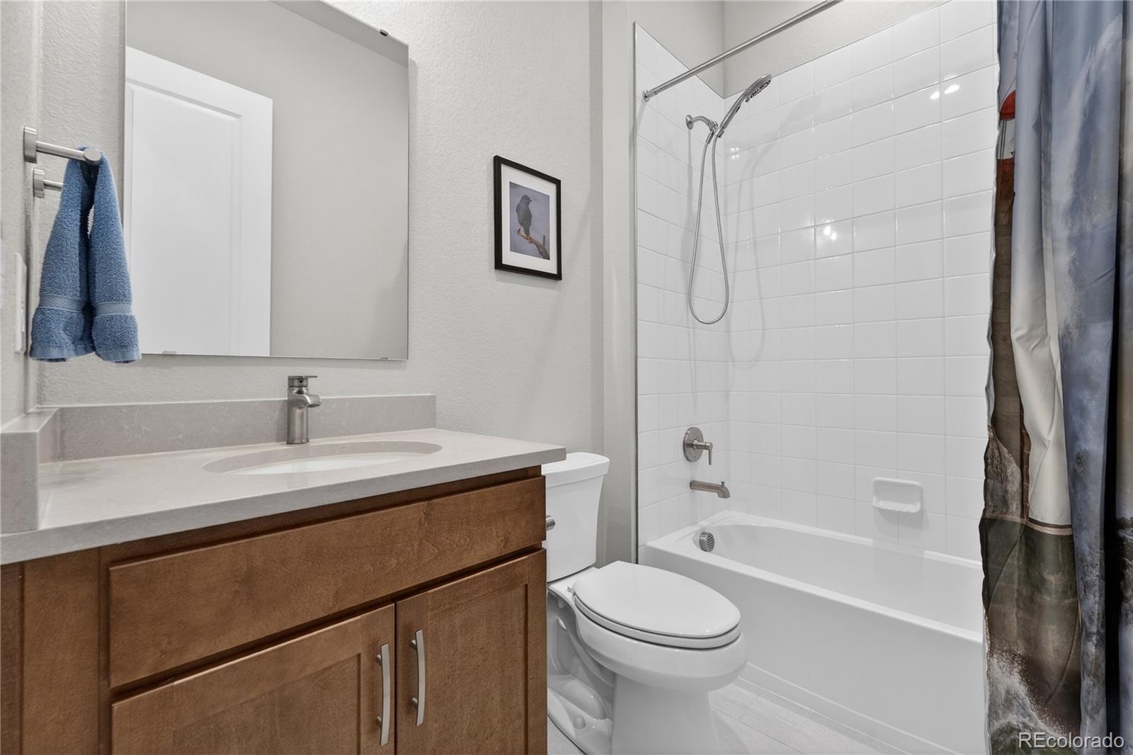 289 Leafy Aster Lane Castle Rock CO 80104