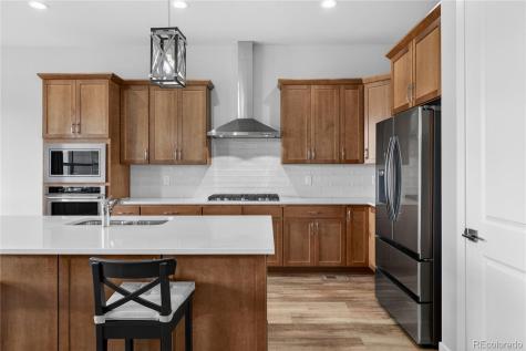289 Leafy Aster Lane Castle Rock CO 80104