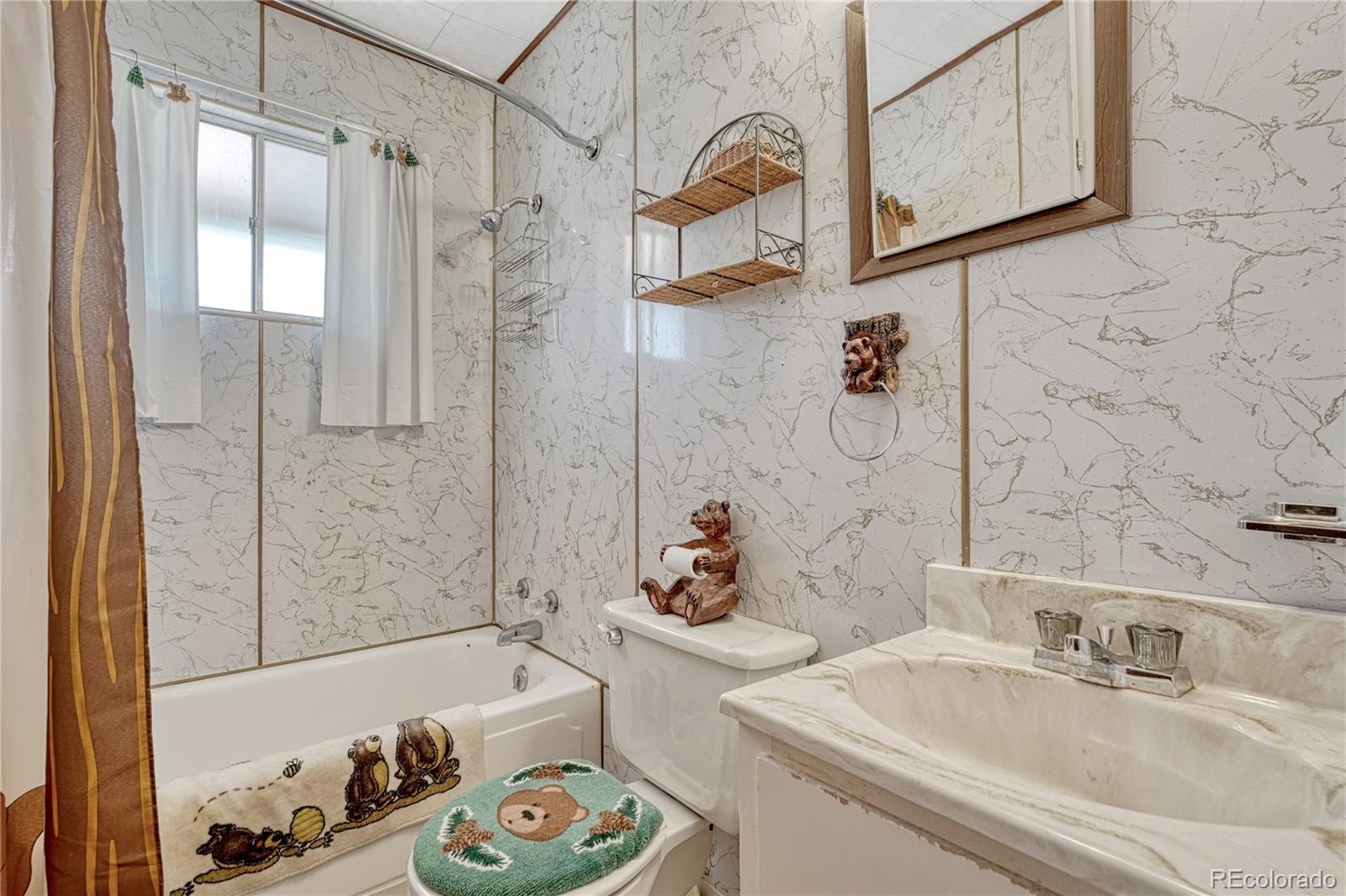 101 Dunlap Drive Florissant CO 80816
