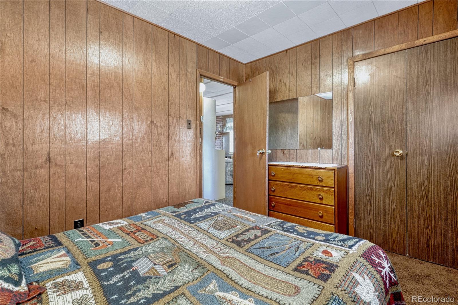 101 Dunlap Drive Florissant CO 80816