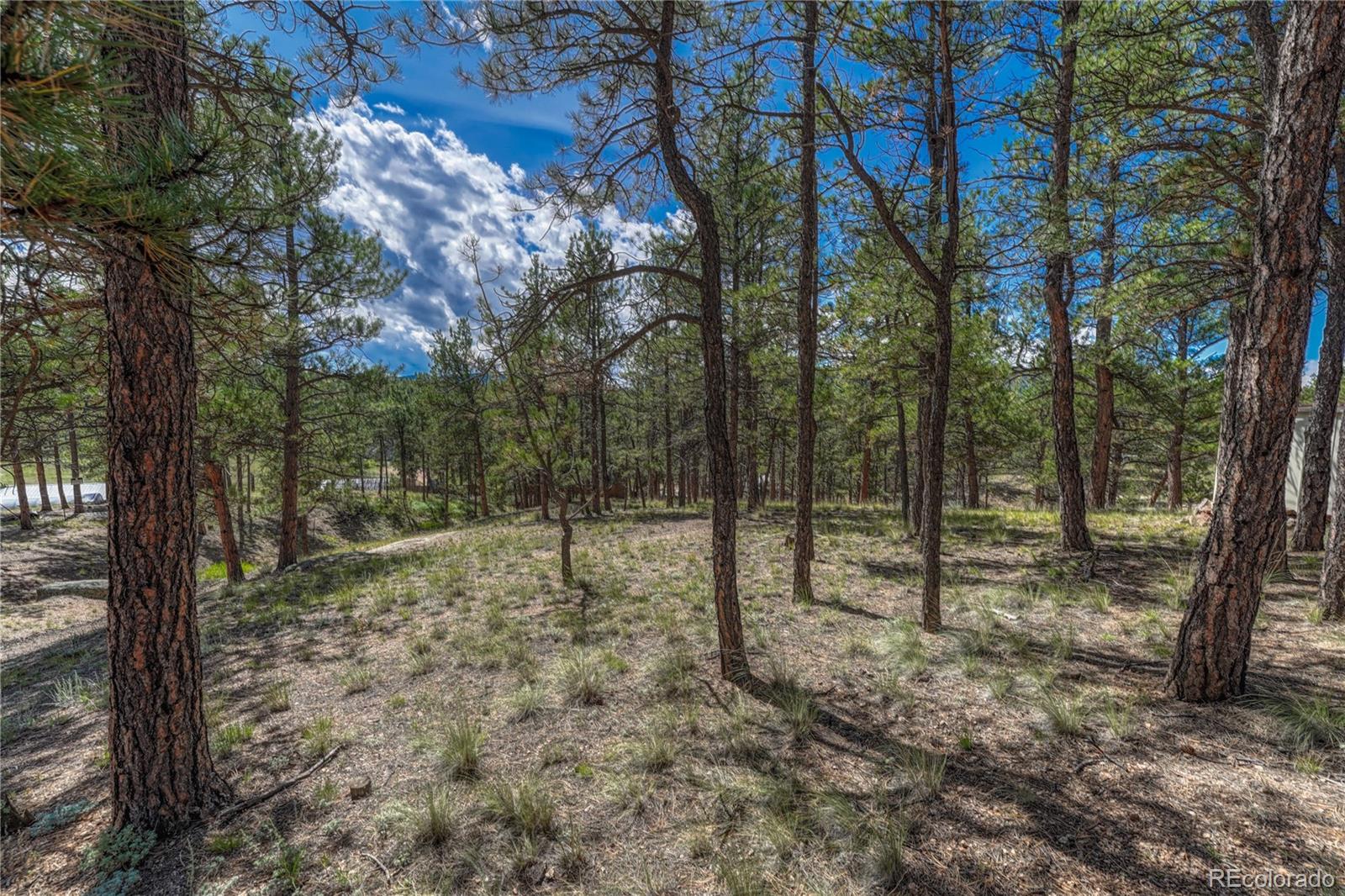 101 Dunlap Drive Florissant CO 80816