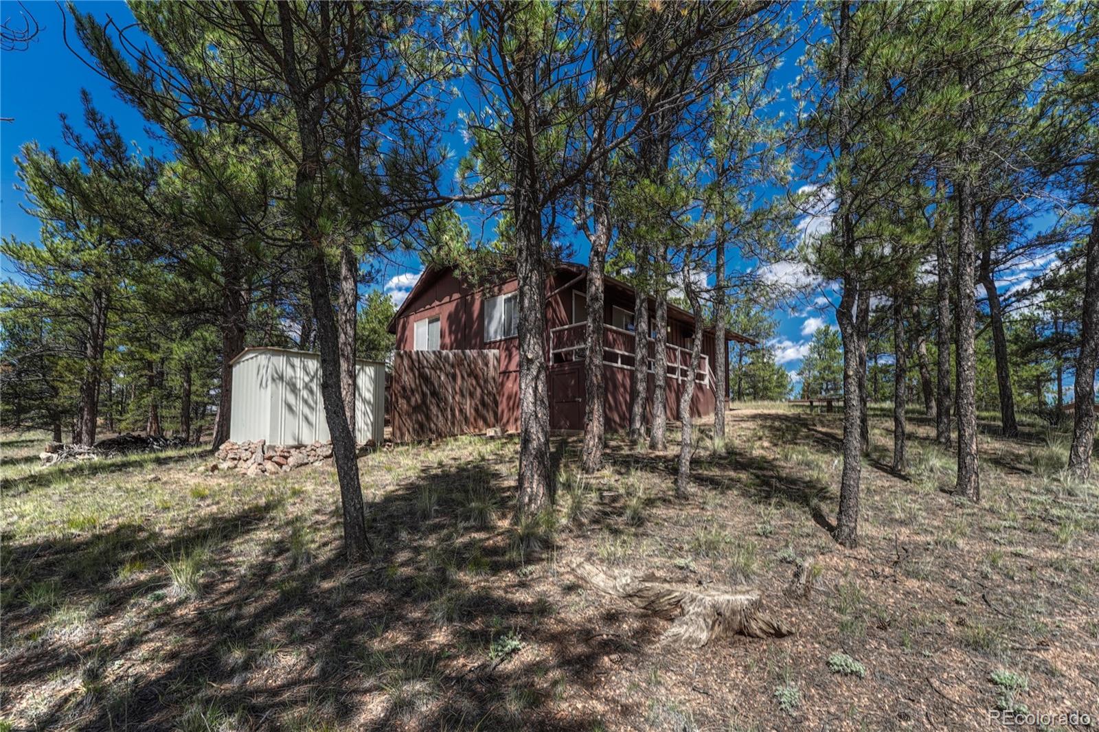 101 Dunlap Drive Florissant CO 80816