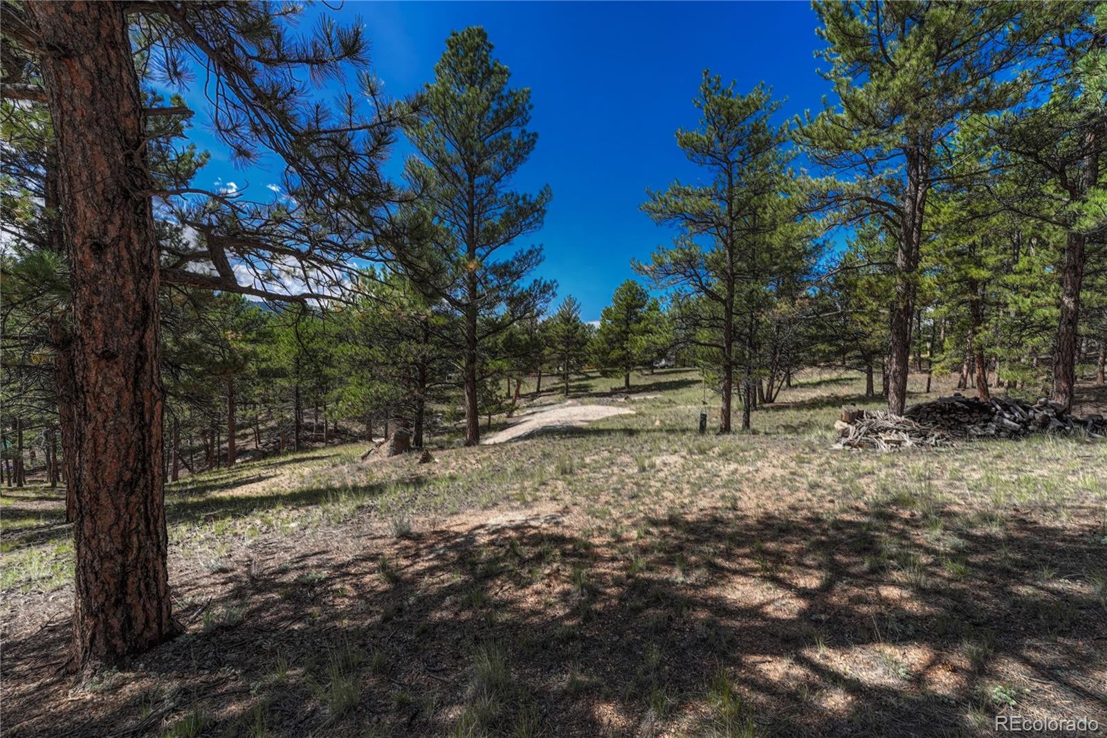 101 Dunlap Drive Florissant CO 80816