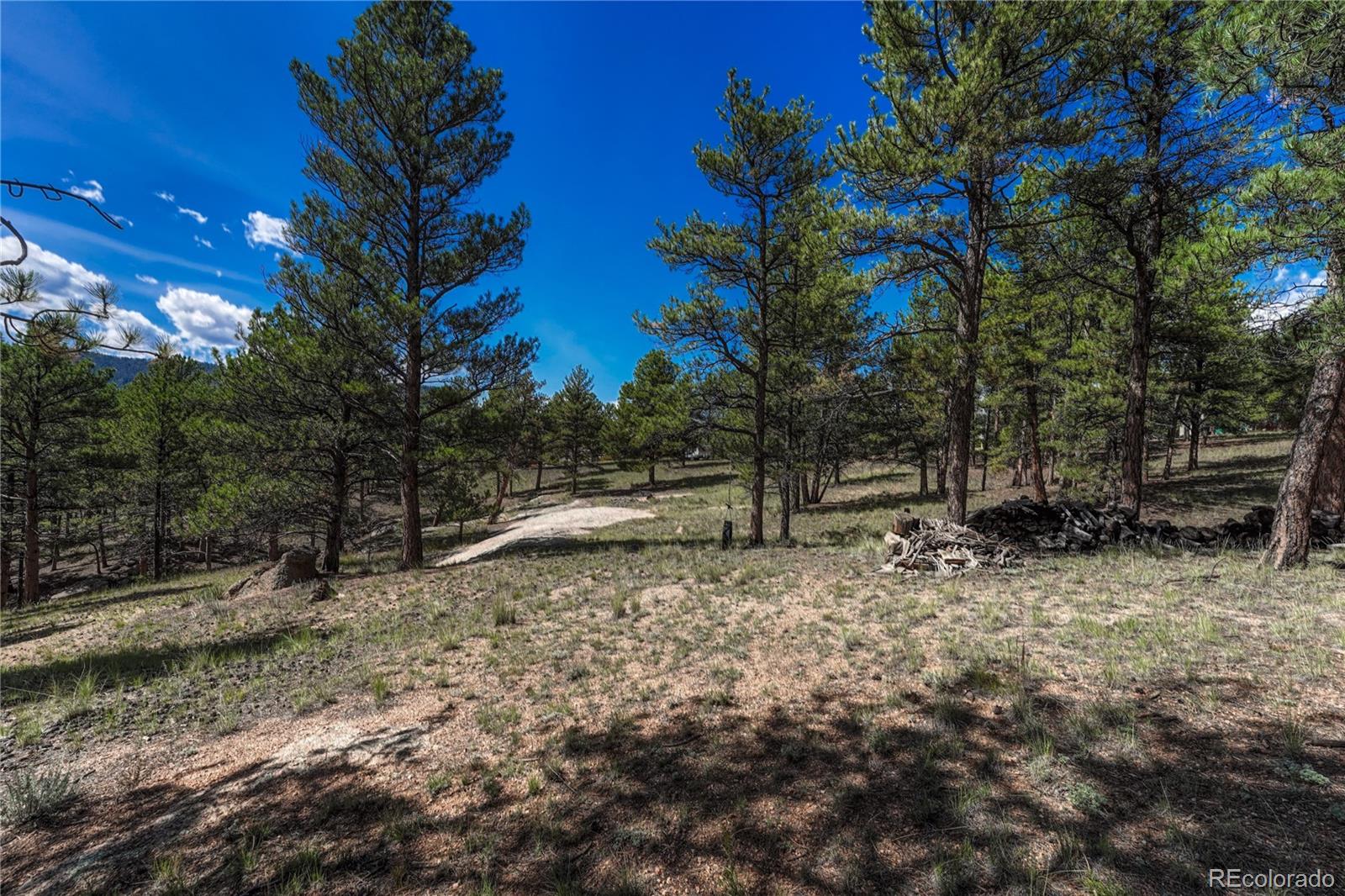 101 Dunlap Drive Florissant CO 80816