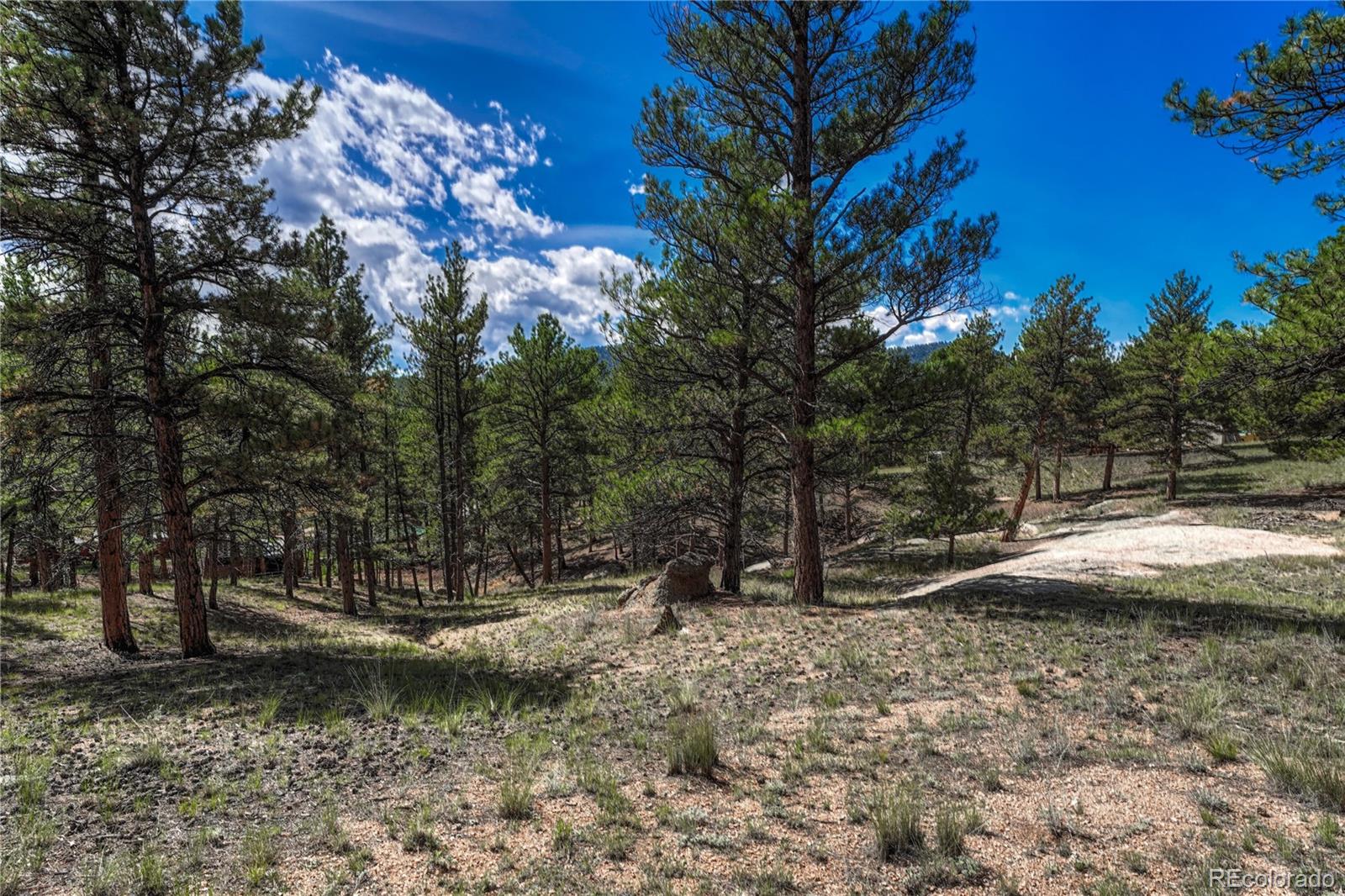 101 Dunlap Drive Florissant CO 80816