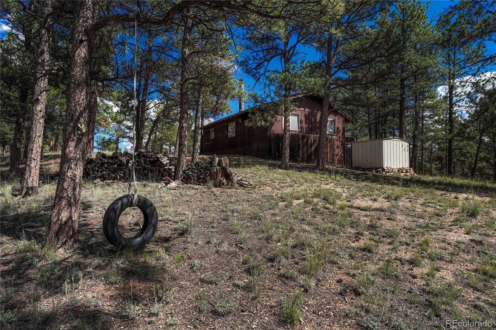 101 Dunlap Drive Florissant CO 80816