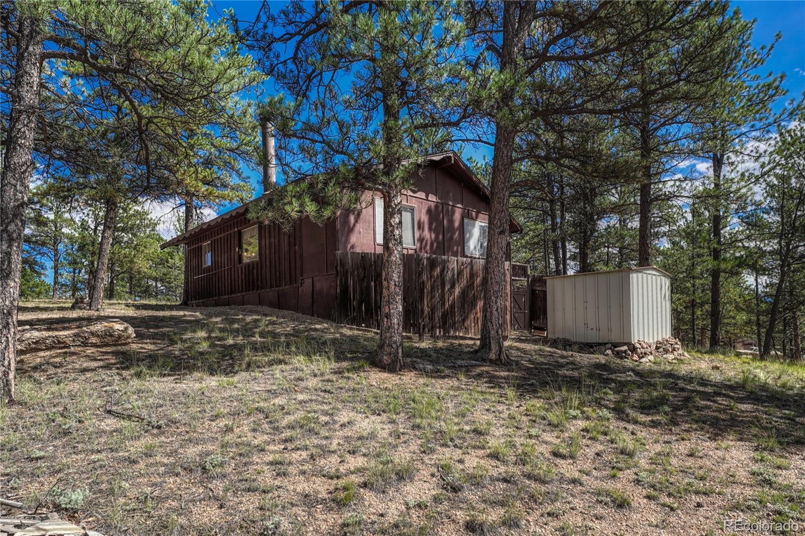 101 Dunlap Drive Florissant CO 80816
