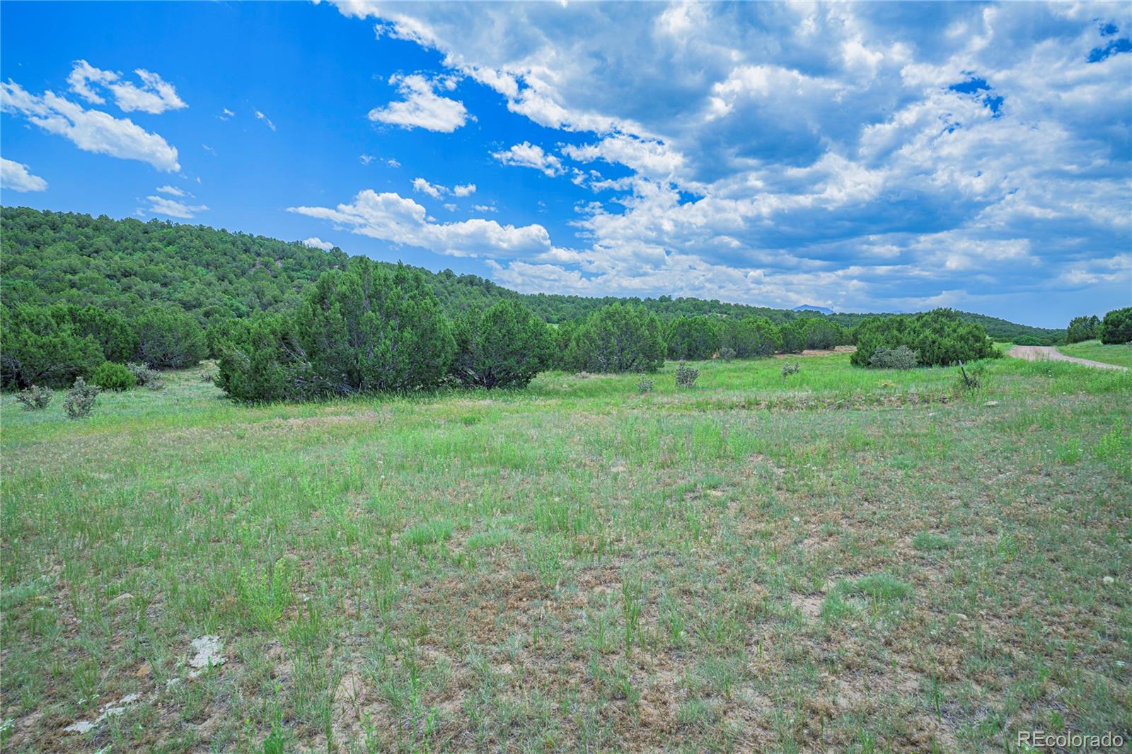 254 Sunset Court Walsenburg CO 81089