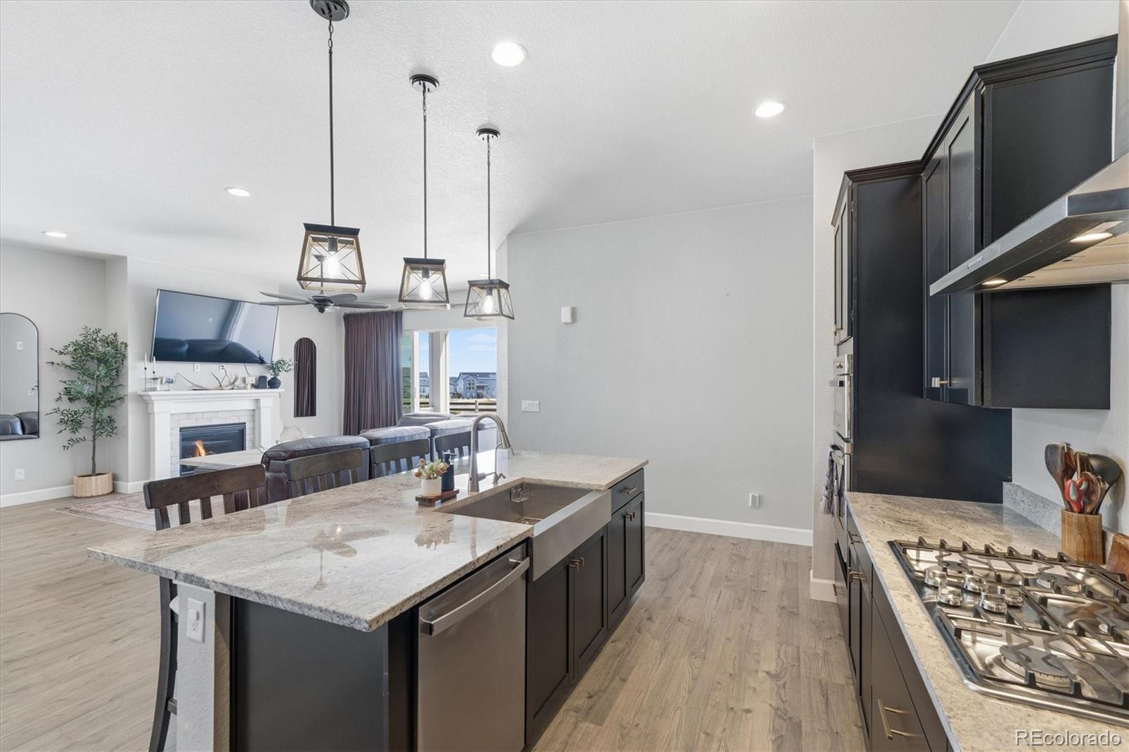 3258 Carabiner Street Castle Rock CO 80108