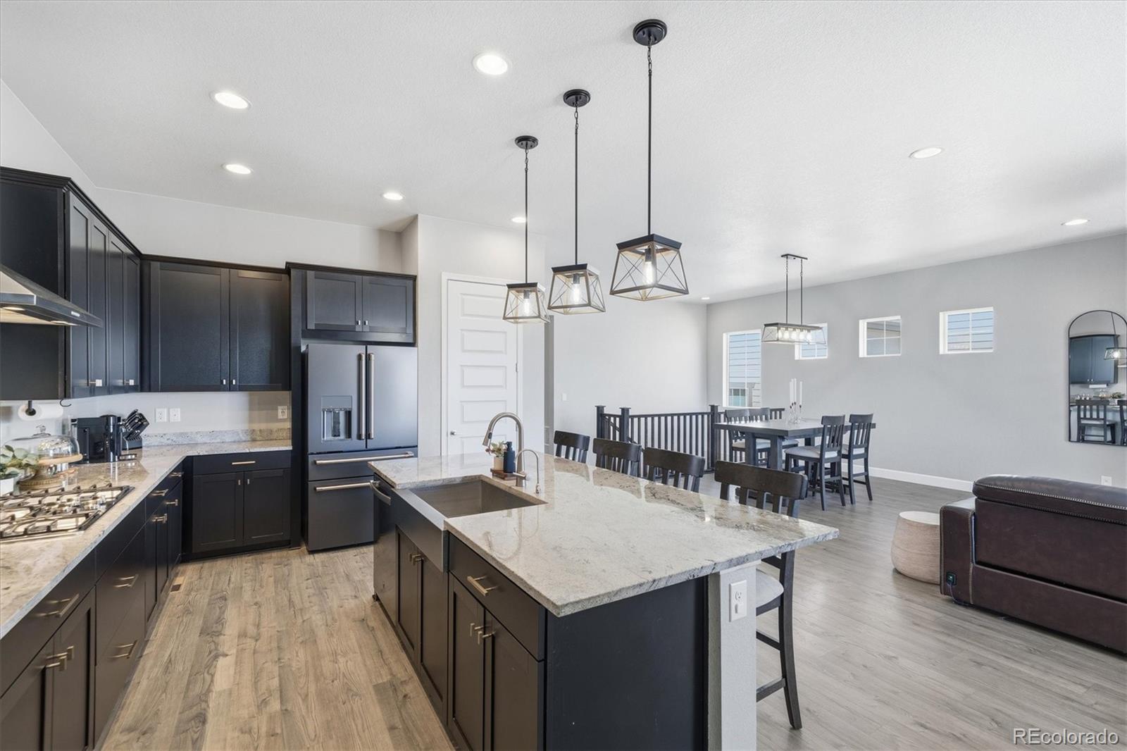 3258 Carabiner Street Castle Rock CO 80108